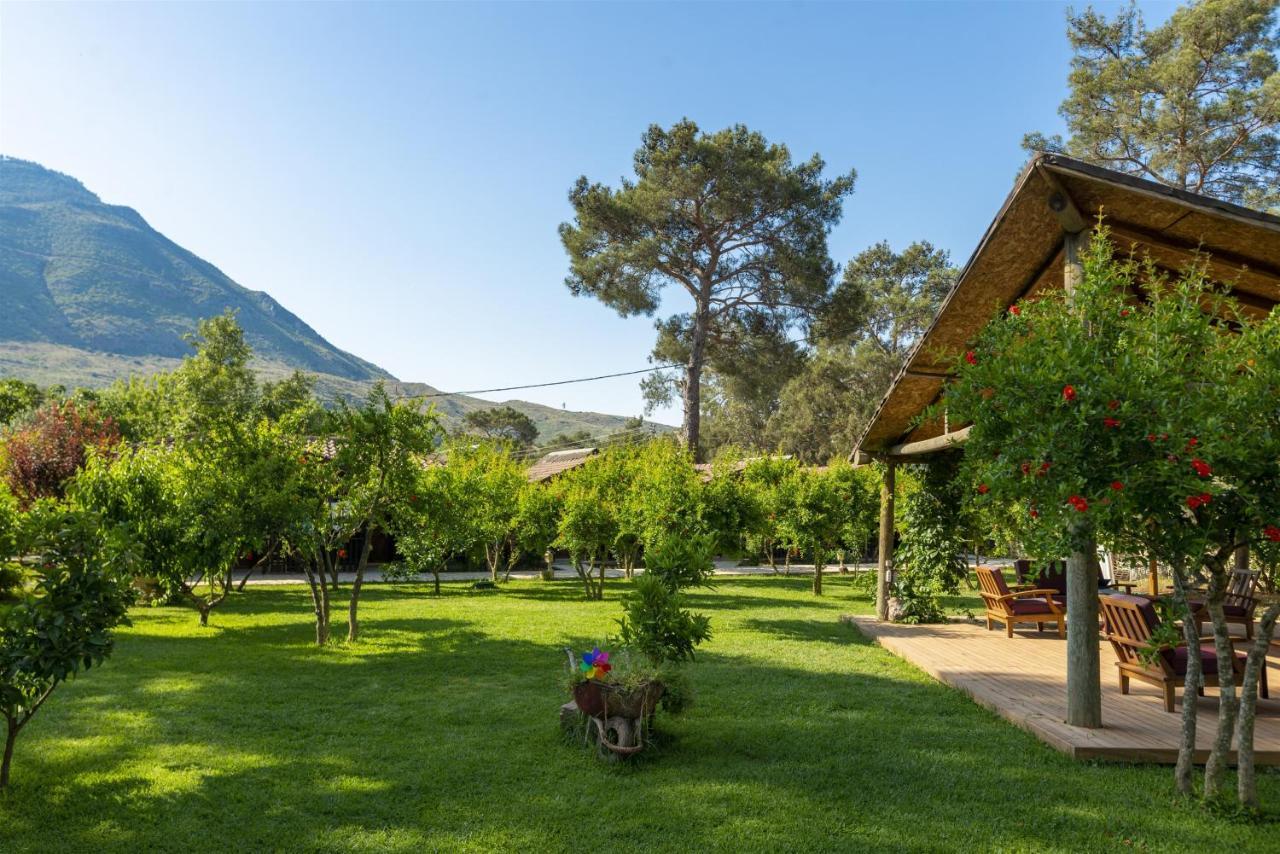 Koala Bungalows Olympos Exterior foto
